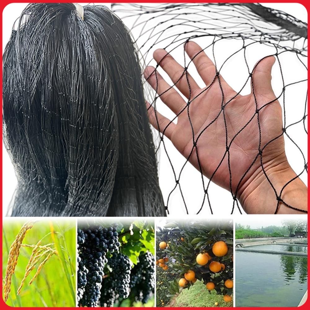 Plants X - ตาข่ายไนลอนกันนก ตาข่ายป้องกันนกในสวน ตาข่ายคลุมเล้าไก่ ขนาด 25 x