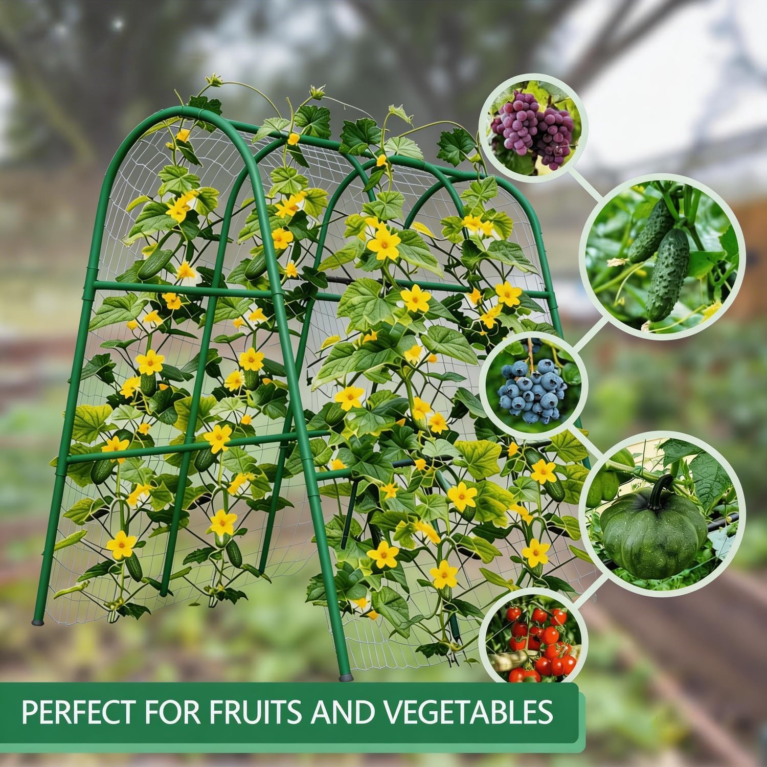 โครงโค้งสำหรับสวนขนาด 4x5.3 ฟุ - Plants X บทวิจารณ์และราคา