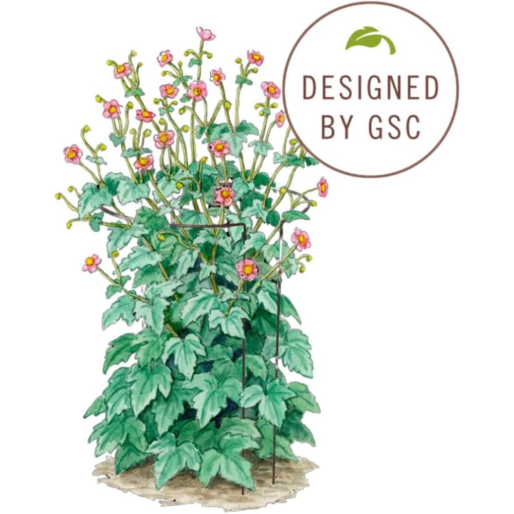 เสาค้ำต้นไม้โลหะสำหรับสวน |    - Plants X บทวิจารณ์และราคา