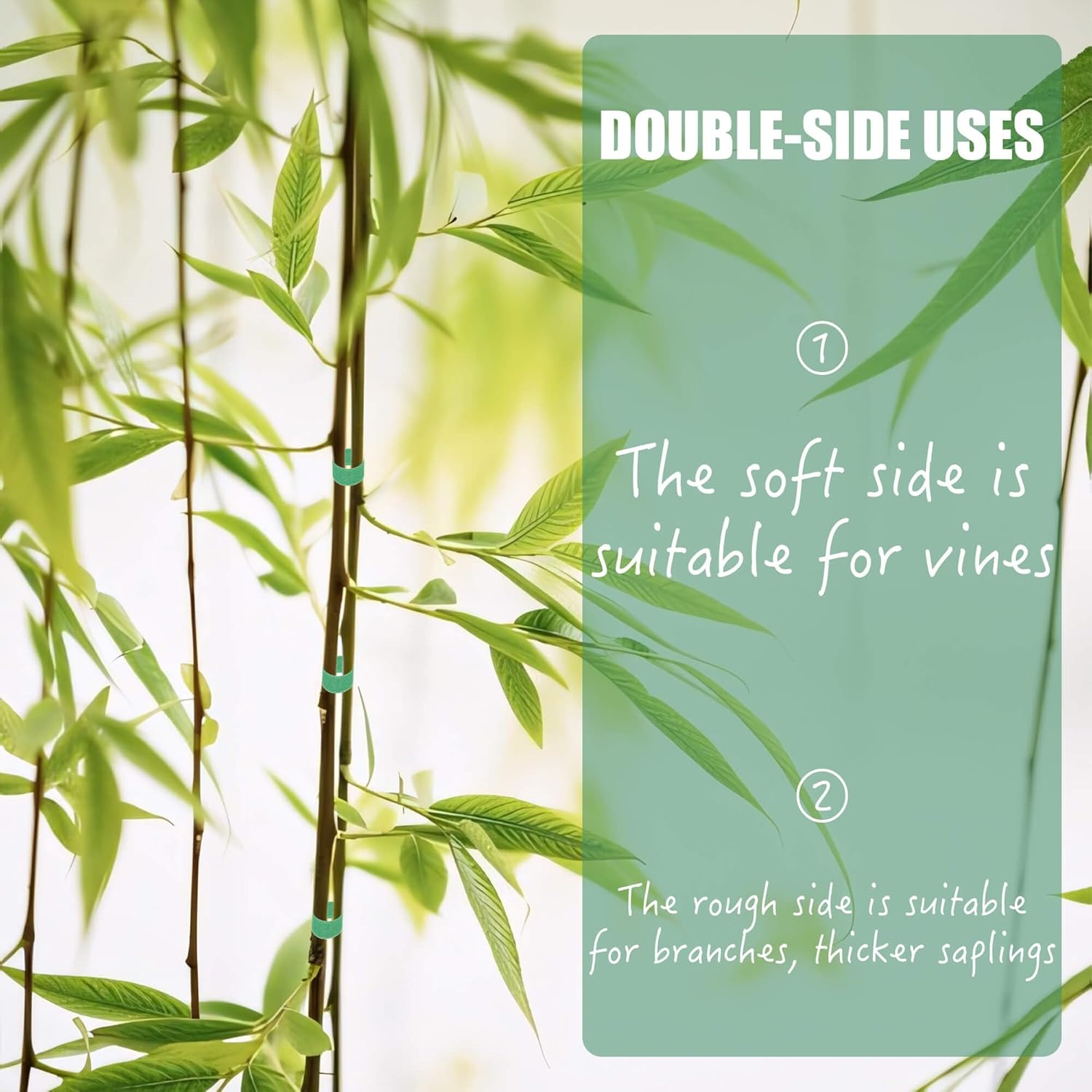 เทปพันต้นไม้สำหรับพืชเลื้อย 6  - Plants X บทวิจารณ์และราคา