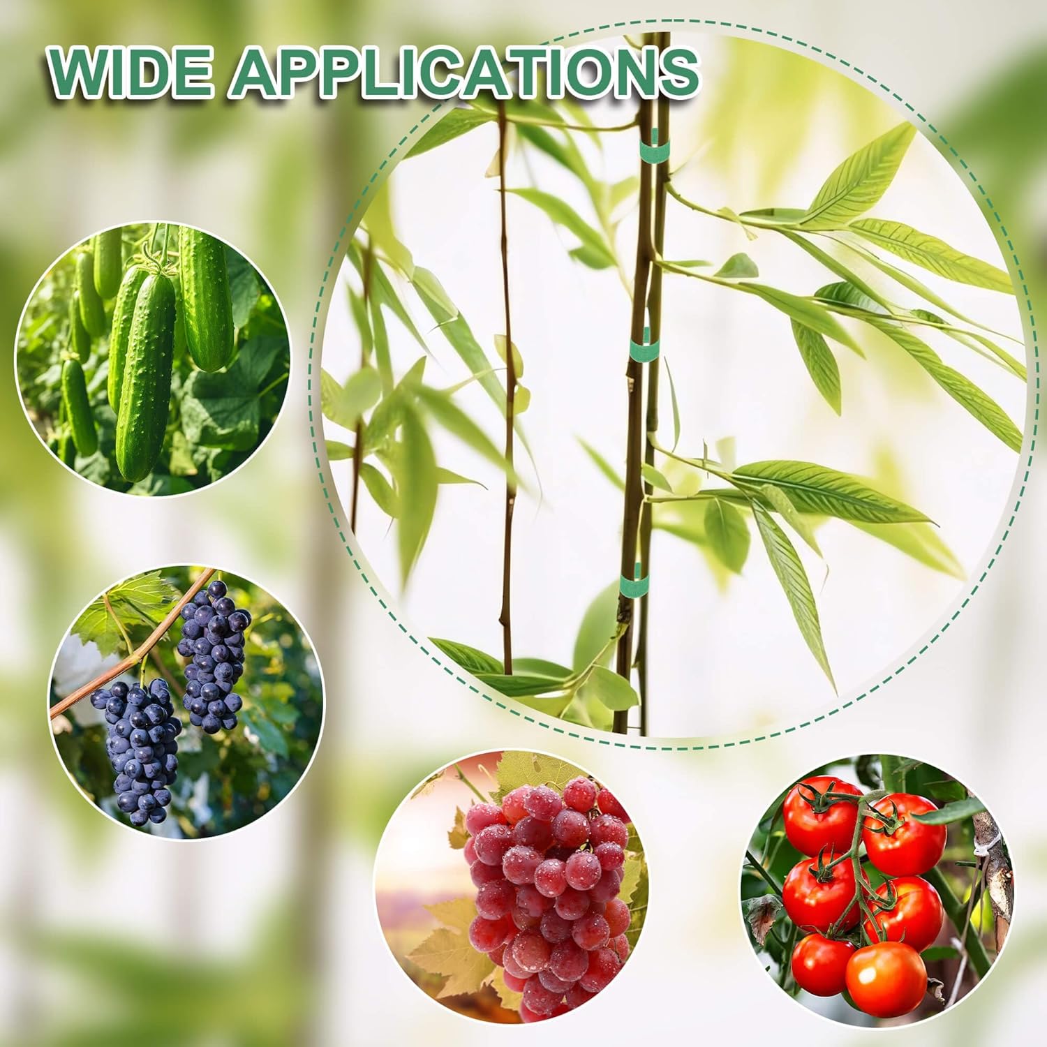 เทปพันต้นไม้สำหรับพืชเลื้อย 6  - Plants X บทวิจารณ์และราคา